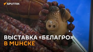 Огромные быки и мясо на вертеле: «Белагро-2026» проходит в Минске