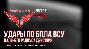 Удары по БпЛА ВСУ дальнего радиуса действия