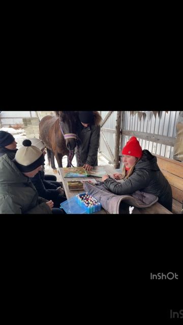 проект 