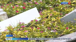Кабардино-Балкария утопает в ярких красках начала лета