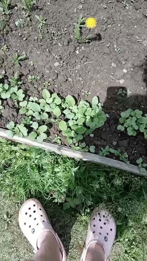 у меня красота