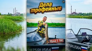 Щука 3 700 в Июне ОБЬ Новосибирск