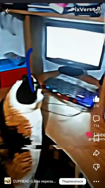 До конца🤣🤣🤣🤣🤣 смотреть онлайн