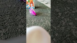 1000000570.mp4