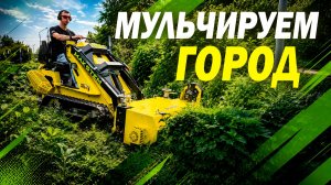 ПОКОС ТРАВЫ МУЛЬЧЕРОМ ЛЕГКО, СНОВА ТЕСТИРУЕМ МУЛЬЧЕР В РАЗНЫХ УСЛОВИЯХ: ВЕТКИ, КУСТАРНИКИ, ДЕРЕВЬЯ