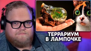 Т2х2 СМОТРИТ: Я СДЕЛАЛ ВОДНЫЙ ТЕРРАРИУМ С ЖИВОТНЫМ В ЛАМПОЧКЕ | SlivkiShow