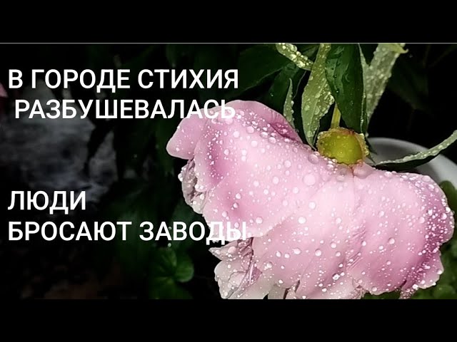 🤯😰ЖЕЕЕСТЬ!!!🤯 РАЗБУШЕВАЛАСЬ СТИХИЯ!🔥🤯😱ЛЮДИ БРОСАЮТ РАБОТУ. #стихия #дождь #запорожье смотреть онлайн