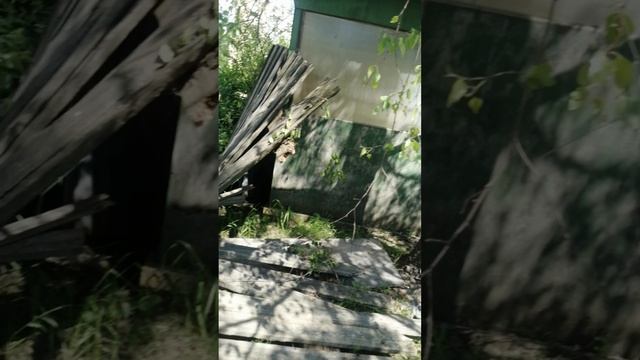 VID_20260602_114942.mp4 смотреть онлайн