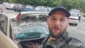 Заложили одно окно, разобрали сарай, купили саженцы.
