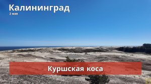 Майские в Калининграде. 2 мая. Куршская коса.