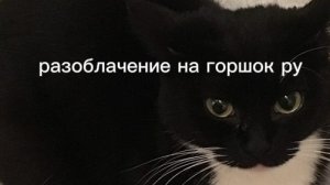разбор на горшок ру