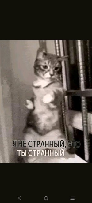 я читаю