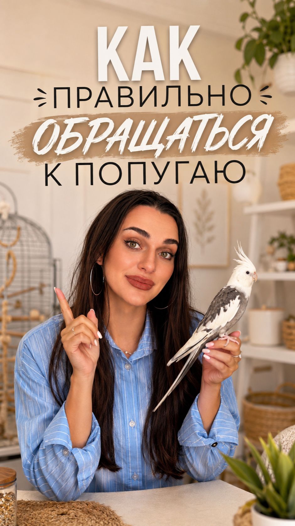 Как правильно обращаться к попугаю