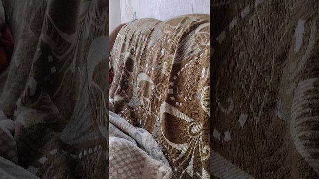 1000000322.mp4 смотреть онлайн