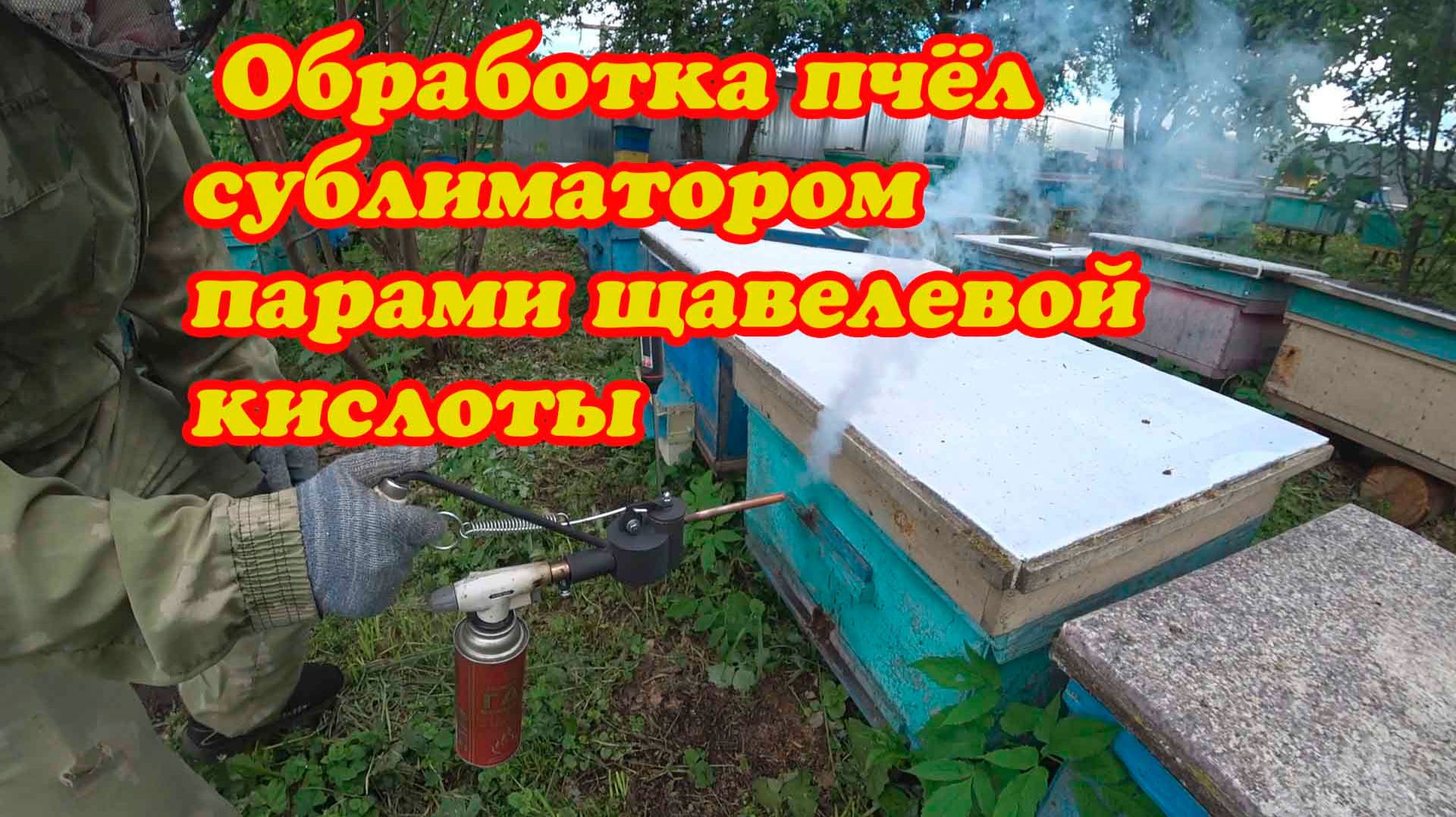 ПРИОБРЕЛИ СУБЛИМАТОР И ИСПРОБОВАЛИ В ДЕЛЕ, ТОЧЁК №1 ПО ПРИВЕСАМ МИНУС. смотреть онлайн