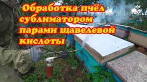 ПРИОБРЕЛИ СУБЛИМАТОР И ИСПРОБОВАЛИ В ДЕЛЕ, ТОЧЁК №1 ПО ПРИВЕСАМ МИНУС.