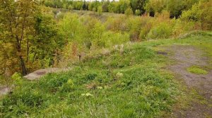 Ульяновск79