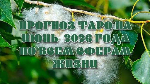 Прогноз Таро на июнь 2026 года по всем сферам жизни смотреть онлайн