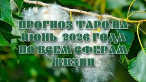Прогноз Таро на июнь 2026 года по всем сферам жизни