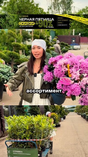 Вот почему опытные садоводы выбирают растения именно сейчас?🔥🌲