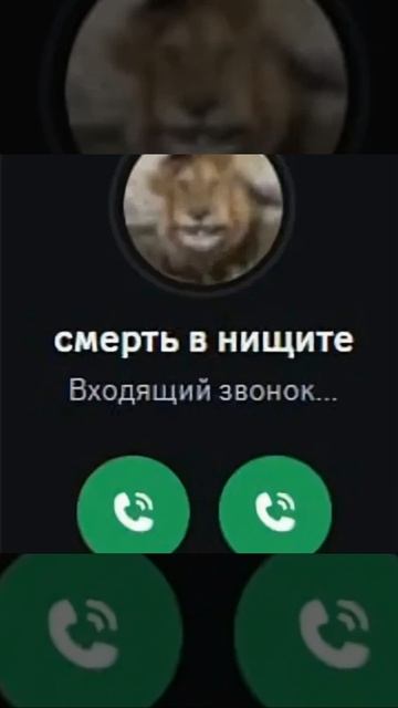 Смерть в нищете. смотреть онлайн