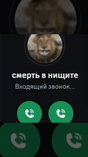 Смерть в нищете.