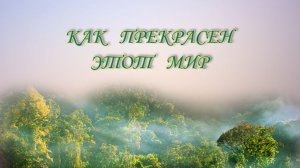 Как ПРЕКРАСЕН этот МИР