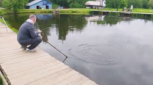 Фореливая рыбалка РК «Фишка Петряиха»