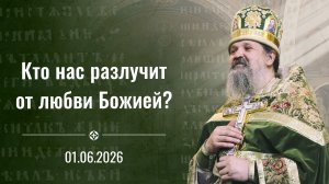 Проповедь отца Андрея Лемешонка на День Святого Духа 1 июня 2026