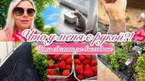 VLOG🇩🇪: 😳ОТКУДА ТАКОЙ СИНЯК?ЧТО СДЕЛАЛИ С ЗАДНИМ ДВОРОМ! ВЫБИРАЮ КЛЕМАТИС 🌺