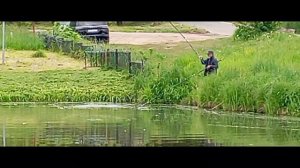 Светлые Горы Карп3 03.06.2026г