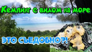 Дикий кемпинг под Архипкой. Идеально для палатки! Палатка, Море и ГРИБЫ (Лисички или нет?)