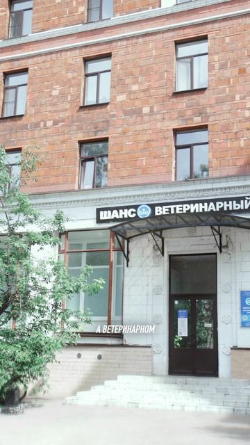 Новый хирург в Шанс Био Сколково!