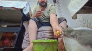 Готовлю картошку с курицей Проверяю рассаду в грядках Утро в Сибири сегодня ПОДВАЛ ИЛЬИЧА