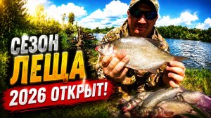 ЛОВЛЯ ЛЕЩА НА ДОНКИ КРОКОДИЛ! Сезон по лещу 2026 открыт! #рыбалка #природа #лещ #донки #река