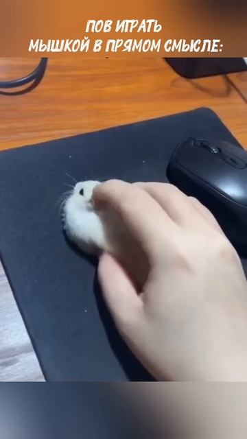 А как вы играете ?