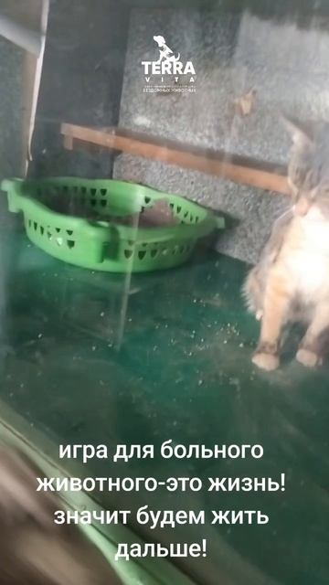 игра=жизнь!