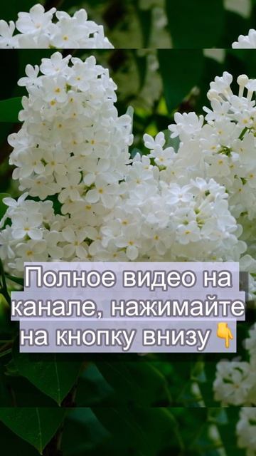 Первый сад или огород