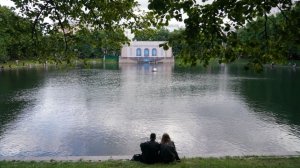 «Пошел вон, кожаный»: лебедь выгнал голого купальщика из пруда на Патриарших