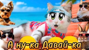 А ну-ка Давай-ка. Лето - лучшая пора! Песенка про лето