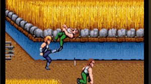 [Arcade]Double dragon 2-pasess