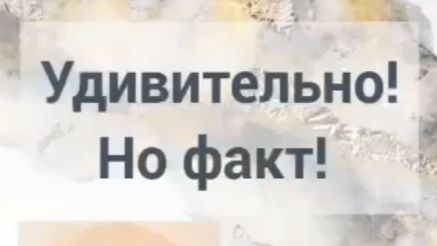 ИНТЕРЕСНО ─ УДИВИТЕЛЬНО, НО ФАКТ