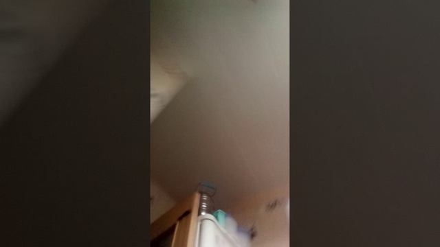лазием на турник и на холодильник смотреть онлайн