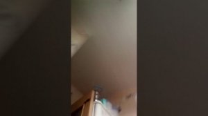 лазием на турник и на холодильник