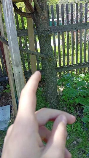 обновление моего домика на дереве