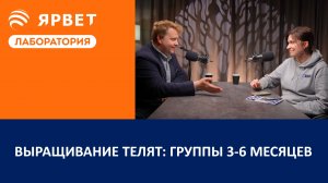 Выращивание телят после отъёма, группы 3-6 месяцев | Подкаст для молочного животноводства
