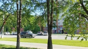 Моя новая дорога //наше Кольцово