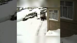 Можно лишь предположить, какое разочарование ощутит мужчина, когда выйдет во двор.