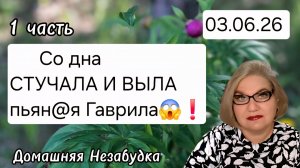 1 часть. Со дна СТУЧАЛА и ВЫЛА пь@ная Гаврила😱❗️