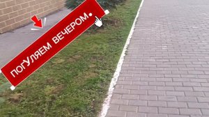 ТРЕК ОТЛИЧНО👍👏😆. **АЙ АЙ АЙ. ОНА ТА ДАМА** ПОЗИТИВНО и КЛАССНО. ПОГУЛЯТЬ. ВЕЧЕРОМ НОРМАЛЬНО🙏💕.